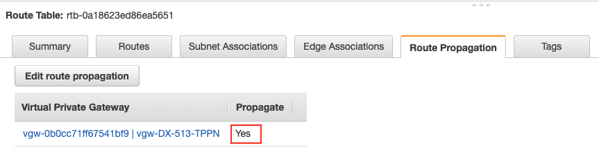 aws_route_propagation_status_yes
