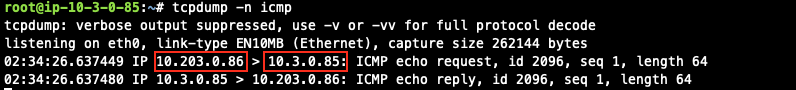 ONPREM_HOST_PACKET_CAPTURE