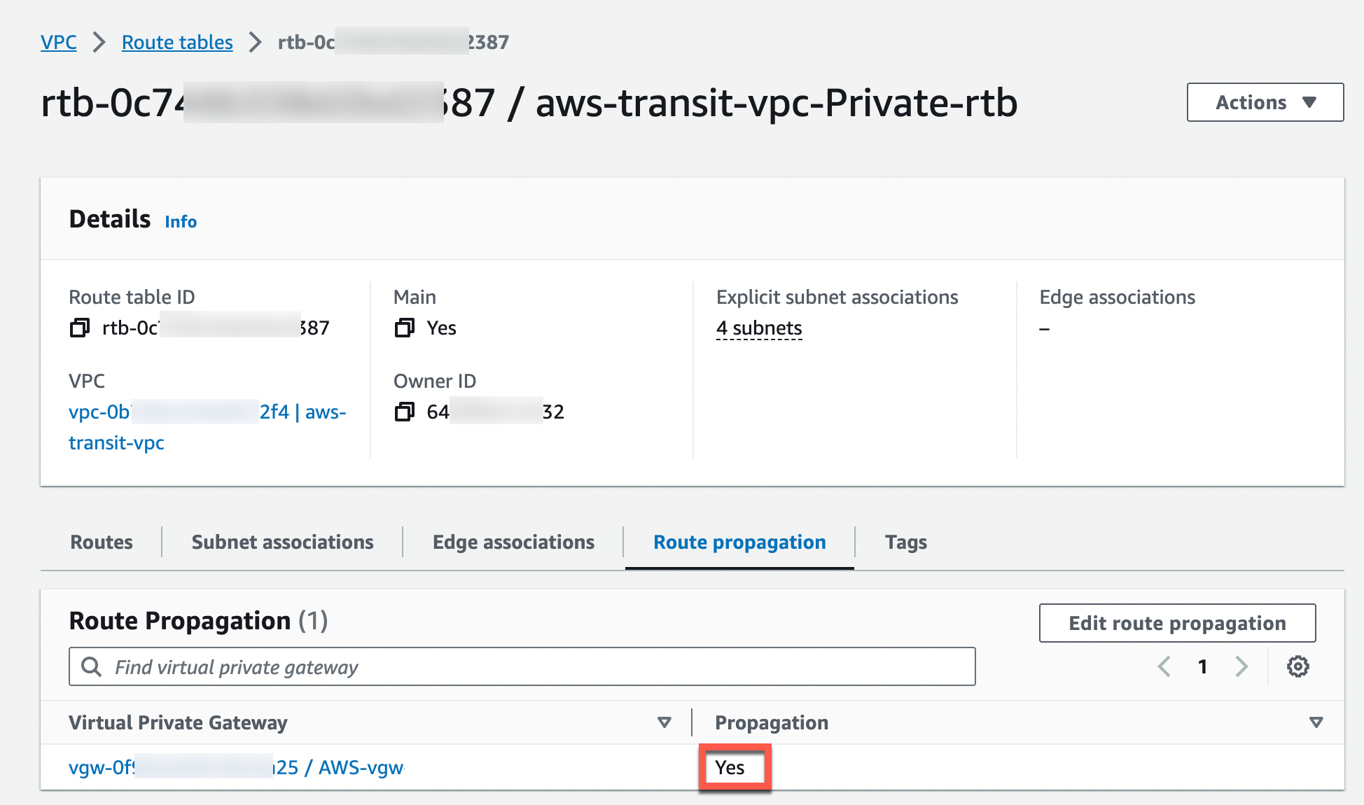 aws_route_propagation_status_yes