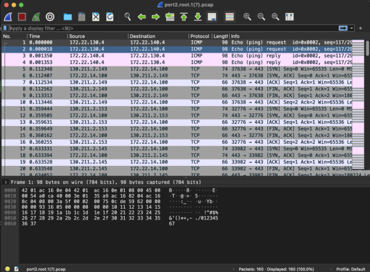 fortgcp packetcapture2