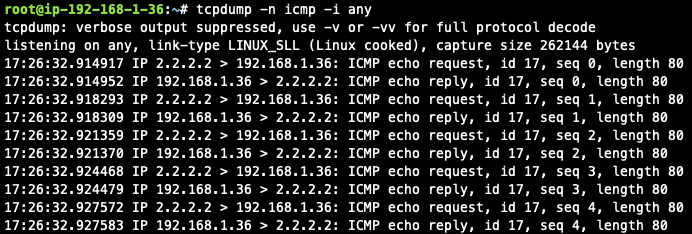 managed_cloudn_traffic_flow_verification_cloud_vm_tcpdump_icmp