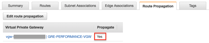 aws_route_propagation_status_yes